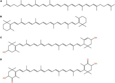 Preparation of highly efficient p-doped porous camellia shell-based activated carbon and its adsorption of carotenoids in camellia oil